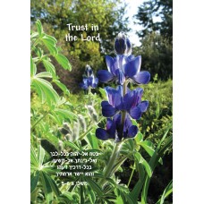 Trust in the Lord Scripture Greeting Card from Israel